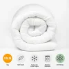 13.5 Tog Anti Allergy Duvet Quilt Bedding Hotel Quality -DIY 13 5 tog anti allergy duvet quilt bedding hotel quality5027434164028 01c MP