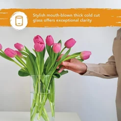 20cm Cylinder Glass Vase For Flowers And Home Boquete Floral Arrangements - Clear Glass Circular Vase 8 20cm Cylinder Glass Vase For Flowers And Home Boquete Floral Arrangements - Clear Glass Circular Vase -DIY 20cm cylinder glass vase for flowers and home boquete floral arrangements clear glass circular vase5060766071626 03c MP