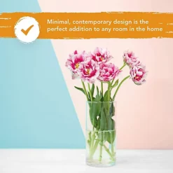 20cm Cylinder Glass Vase For Flowers And Home Boquete Floral Arrangements - Clear Glass Circular Vase 9 20cm Cylinder Glass Vase For Flowers And Home Boquete Floral Arrangements - Clear Glass Circular Vase -DIY 20cm cylinder glass vase for flowers and home boquete floral arrangements clear glass circular vase5060766071626 04c MP