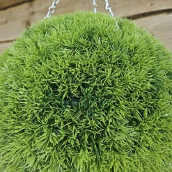 Best Artificial 28cm Green Grass Moss Hanging Basket Topiary Ball - Suitable For Outdoor Use - Weather & Fade Resistant -DIY best artificial 28cm green grass moss hanging basket topiary ball suitable for outdoor use weather fade resistant5060637305744 02c MP