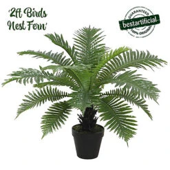 Best Artificial 2ft - 60cm Birds Nest Fern Plant -DIY best artificial 2ft 60cm birds nest fern plant5060256546610 02c MP