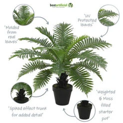 Best Artificial 2ft - 60cm Birds Nest Fern Plant -DIY best artificial 2ft 60cm birds nest fern plant5060256546610 03c MP