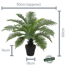 Best Artificial 2ft - 60cm Birds Nest Fern Plant -DIY best artificial 2ft 60cm birds nest fern plant5060256546610 06c MP