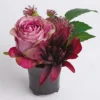 Bloom Artificial Alexis Small Flower Arrangement In Vase - Faux Fake Realistic Floral Centrepiece Home Decoration - H17 X W14cm -DIY bloom artificial alexis small flower arrangement in vase faux fake realistic floral centrepiece home decoration h17 x w14cm5053335878177 01c MP