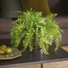 Bloom Artificial Boston Fern Plant In Glass Pot - Faux Fake Realistic Green Houseplant Floral Home Decoration - H40 X W45cm -DIY bloom artificial boston fern plant in glass pot faux fake realistic green houseplant floral home decoration h40 x w45cm5053335810443 01c MP