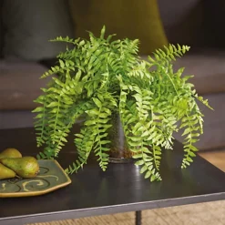 Bloom Artificial Boston Fern Plant In Glass Pot - Faux Fake Realistic Green Houseplant Floral Home Decoration - H40 X W45cm