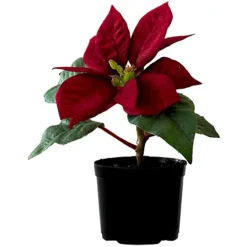 Bloom Artificial Mini Red Poinsettia Plant In Terracotta Plastic Pot - Faux Fake Realistic Floral Home Decoration - Measures H15cm
