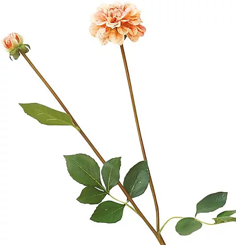 Bloom Artificial Single Tangerine Dahlia Stem 74cm - Faux Silk Flowers, Fake Foliage Stems, Indoor Home Decor, Vase Not Included 4 Bloom Artificial Single Tangerine Dahlia Stem 74cm - Faux Silk Flowers, Fake Foliage Stems, Indoor Home Decor, Vase Not Included - Image 2