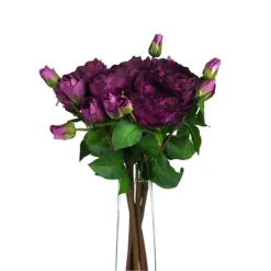 Deep Purple Wedding Peony Rose Spray -DIY deep purple wedding peony rose spray5050140906590 04c MP