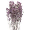 Dried Babys Breath Bunch Artificial Plant - H80 Cm - Purple -DIY dried babys breath bunch artificial plant h80 cm purple5050140170083 01c MP