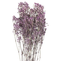 Dried Babys Breath Bunch Artificial Plant - H80 Cm - Purple