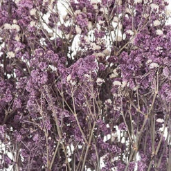 Dried Babys Breath Bunch Artificial Plant - H80 Cm - Purple -DIY dried babys breath bunch artificial plant h80 cm purple5050140170083 03c MP