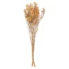 Hill Interiors Babys Breath Dried Plant Orange (One Size) -DIY hill interiors babys breath dried plant orange one size 5059699939936 01c MP