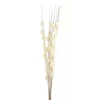 Hill Interiors Bouquet Of Dried Thlaspi Arvense Artificial Flower White (One Size) -DIY hill interiors bouquet of dried thlaspi arvense artificial flower white one size 5063238662117 01c MP