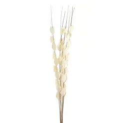 Hill Interiors Bouquet Of Dried Thlaspi Arvense Artificial Flower White (One Size)