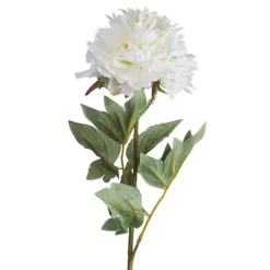 Hill Interiors Peony White Classic Faux Plant -DIY hill interiors peony white classic faux plant5050140020883 04c MP