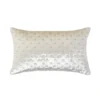 Homescapes Cream Crushed Velvet Rectangular Cushion Cover, 30 X 50 Cm 2 Homescapes Cream Crushed Velvet Rectangular Cushion Cover, 30 X 50 Cm -DIY homescapes cream crushed velvet rectangular cushion cover 30 x 50 cm5056280702542 01c MP