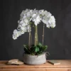 Large White Orchid In Stone Pot 1 Large White Orchid In Stone Pot -DIY large white orchid in stone pot5050140996096 01c MP
