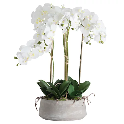 Large White Orchid In Stone Pot 4 Large White Orchid In Stone Pot - Image 2