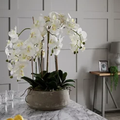 Large White Orchid In Stone Pot 9 Large White Orchid In Stone Pot -DIY large white orchid in stone pot5050140996096 04c MP