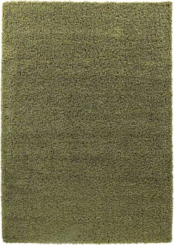 Modern Extra Large Small Soft 5cm Shaggy Non Slip Bedroom Living Room Carpet Runner Area Rug - Green 160 X 230 Cm
