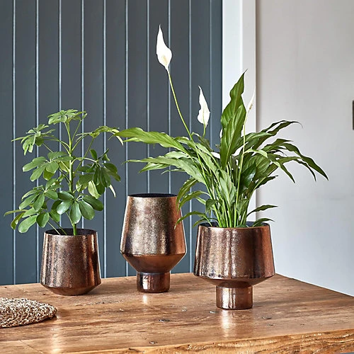 Opulent Tall Curved Metallic Bronze Vase H26Cm W20Cm 4 Opulent Tall Curved Metallic Bronze Vase H26Cm W20Cm - Image 2