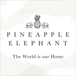 Pineapple Elephant Tamba Jersey Stripe Oxford 50x75cm + Border Pack Of 2 Pillow Cases With Envelope Closure Natural -DIY pineapple elephant tamba jersey stripe oxford 50x75cm border pack of 2 pillow cases with envelope closure natural5057681109015 04c MP