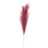 Scarlet Large Faux Pampas Grass Stem -DIY scarlet large faux pampas grass stem5050140210284 01c MP