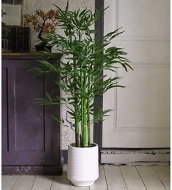 Bloom Tall White Terracotta Vase - Modern Vase For Fresh Or Artificial Flower Stem Bouquet Arrangements - Measures H25.5 X 21cm Diameter -DIY tall white terracotta vase modern vase for fresh or artificial flower stem bouquet arrangements measures h25 5 x 21cm diameter5053335892852 03c MP