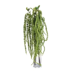 UK Homeliving Green Amaranthus 9 UK Homeliving Green Amaranthus -DIY uk homeliving green amaranthus5050140955796 04c MP