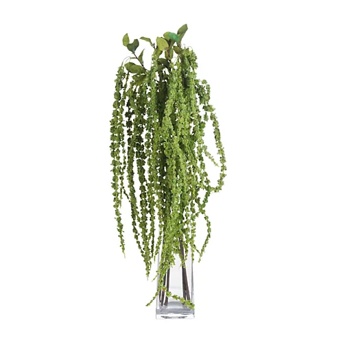 UK Homeliving Green Amaranthus 6 UK Homeliving Green Amaranthus - Image 4