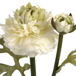 UK Homeliving Green Ranunculus Spray -DIY uk homeliving green ranunculus spray5050140894095 02c MP