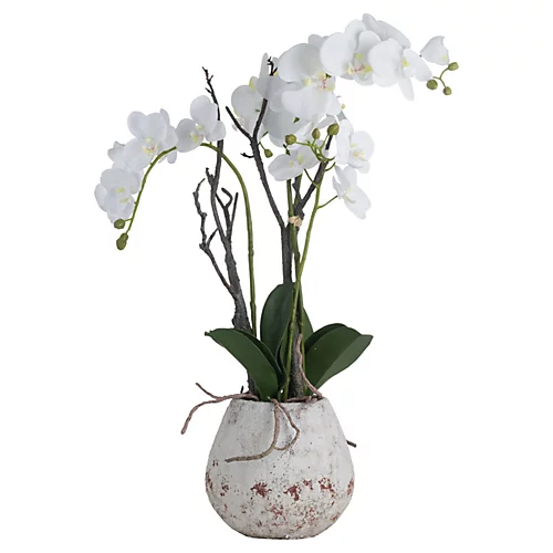 UK Homeliving White Orchid In Stone Pot 4 UK Homeliving White Orchid In Stone Pot - Image 2