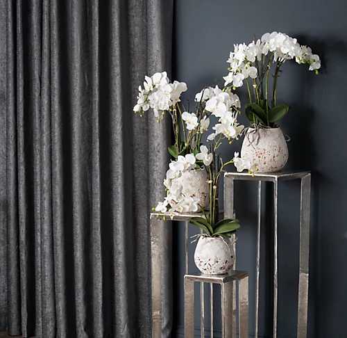 UK Homeliving White Orchid In Stone Pot 6 UK Homeliving White Orchid In Stone Pot - Image 4